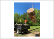 Tree service Chesnee & Spartanburgg