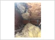 companyPhotoUrl2