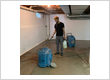 Mold Remediation