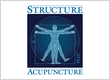 Structure Acupuncture PLLC
