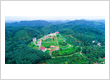 Personalized Treatment Planning at Indimasi: A Structured He...
