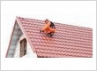 Palmetto Roofing