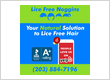 Lice Free Noggins Stamford - Natural Lice Removal Treatment