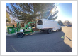 Tree Service Boulder County CO