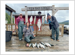 Ketchikan Fishing Charters