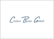 Caudle Bush Group
