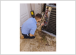 Service Genius Air Conditioning and Heating