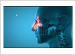 Best Doctor