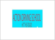 Action Driving School