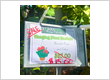 Terranova Nursery and Garden Center