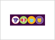 Jordan's Pet Care - Brooklyn Dog Walking and Pet Sitting