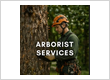Arborist Services