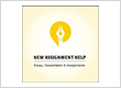New Assignment Help UK