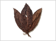 dark air cured tobacco for sale