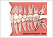 Jeff Montgomery DDS Dentist Huntington Beach