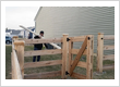Vinyl Fence Installation