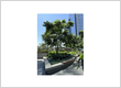 Tree Service La Verne CA