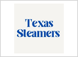 Texas Steamers - Couch Cleaning