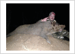 Dos Plumas Hunting Ranch
