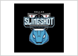 Dallas Slingshot Rental