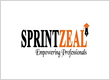 Sprintzeal Americas Inc.