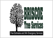 Briscoe Tree Service