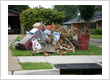 yard waste mixed with regular residential junk