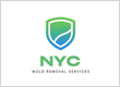 NYC Mold Removal Services