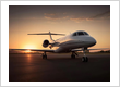 Private Flights 
