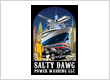 Salty Dawg Power Washing