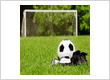Deportes America