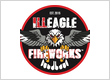 ILL EAGLE FIREWORKS