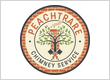 Peachtree Chimney Service