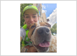 Denver Dog Joggers