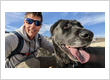 Denver Dog Joggers