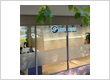 Motion Care Massage & Rehab - Finch
