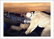 crawl space care - sedona waterproofing solutions - charlotte nc