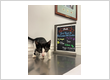 New London Veterinary Center