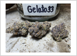 Gelato 33 living soil grown Phuket Cannabis
