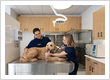Scout Veterinary Urgent Care - Old Orchard