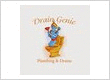 Drain Genie Plumbing & Drains