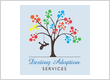 Destiny Adoption Services