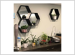 Motion Care Massage & Rehab - Finch