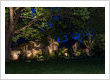 Landscape lighting designer