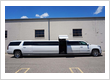 20-passenger limo