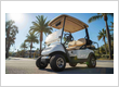Golf cart repair Venice FL