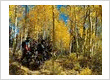 Rico, CO 2019 Trip
