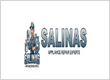 Salinas Appliance Repair Experts