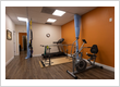 Sarasota Chiropractic and Physical Therapy