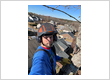 Tree service Chesnee & Spartanburgg